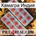 Камагра Индия 19